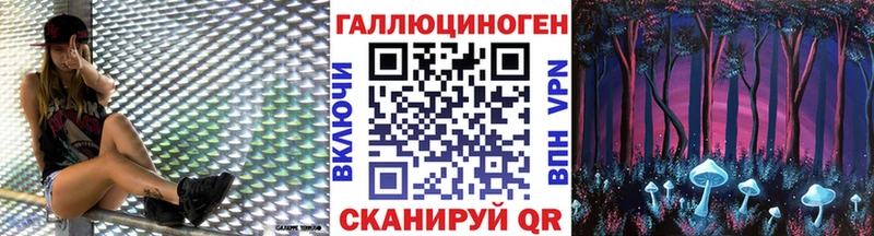 купить   Бердск  Галлюциногенные грибы прущие грибы 